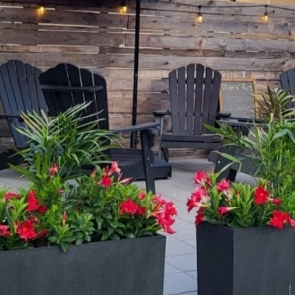 Outdoor patio with black Adirondack chairs, string lights, and planters filled with red flowers.